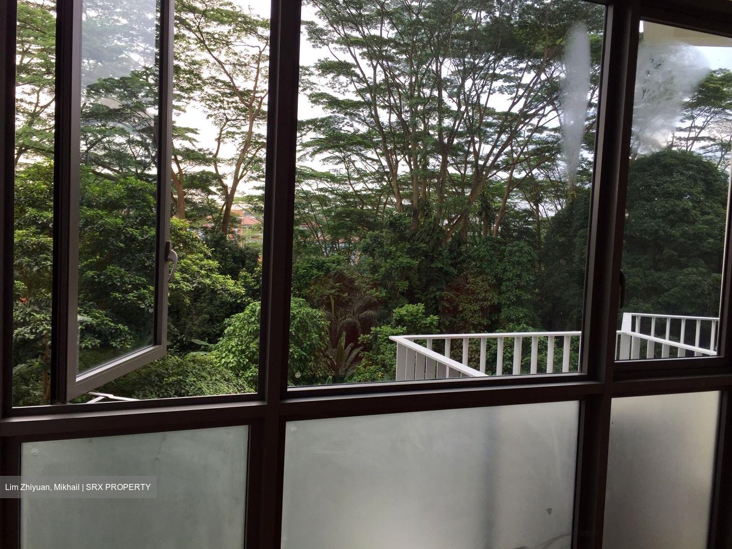 The Skywoods (D23), Condominium #579042431